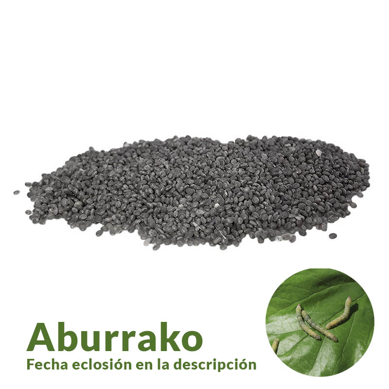 Huevos raza ABURRAKO T2025