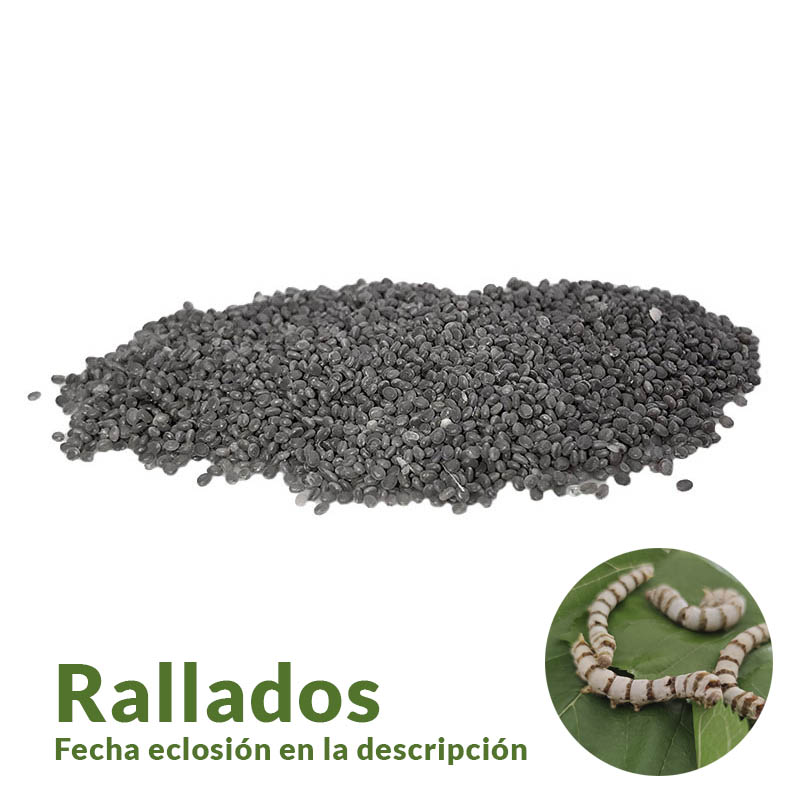 Huevos raza RALLADOS T2025