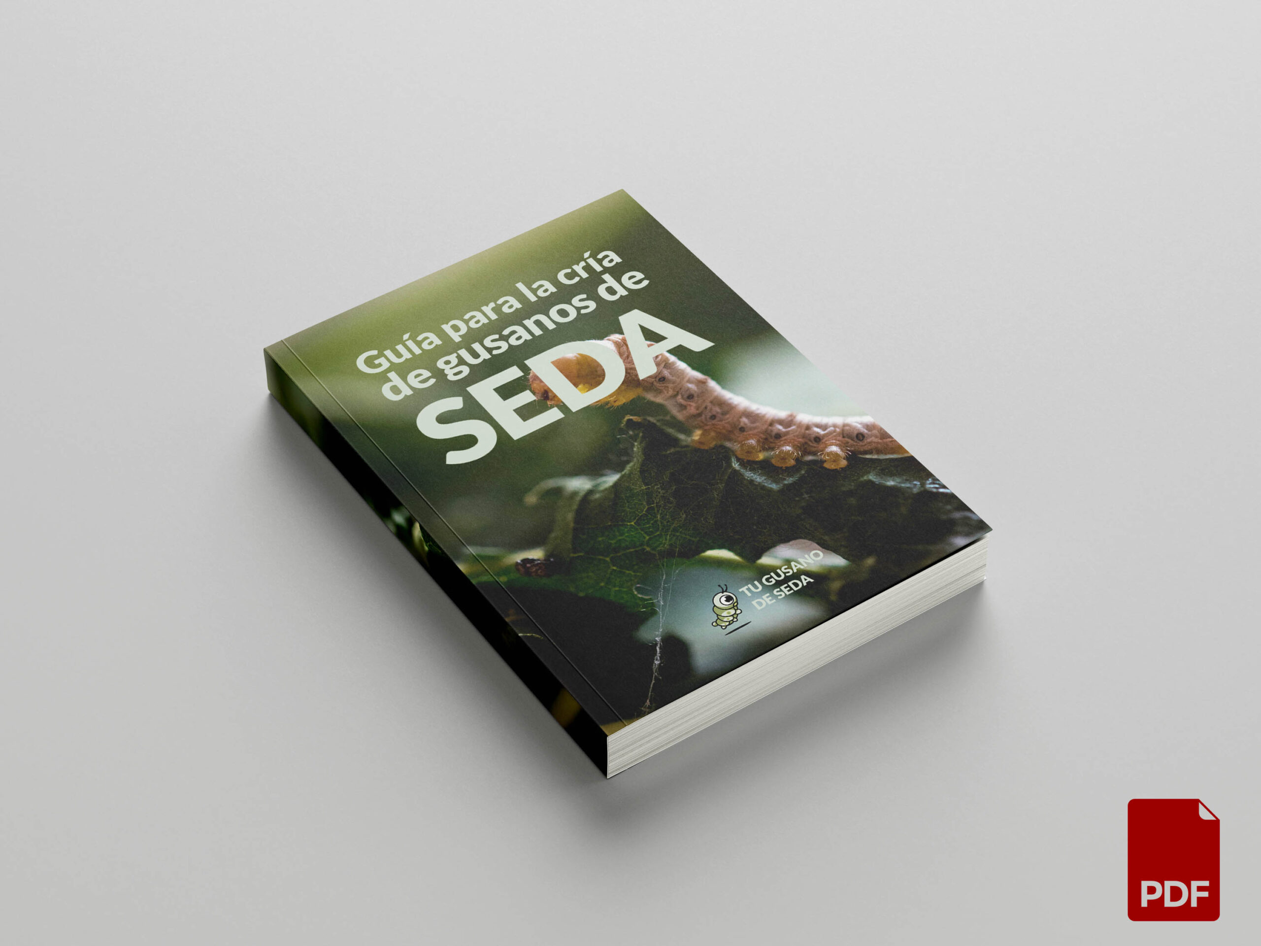 Guía Cría Gusanos de Seda